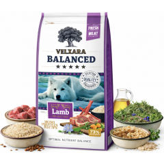 Velxara Balanced Dry FM Dog Adult Monoprotein Lamb & Rice 12 kg